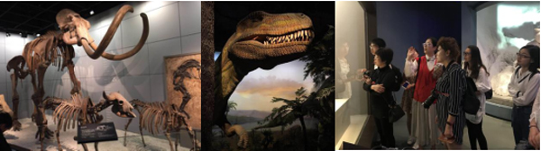 1524649513659009.jpg 40.jpg